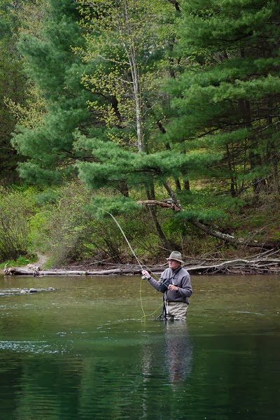 Fly fishing hot sale forum